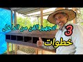 تربية الدجاج 2 خطوات تجهيز قن الدجاج من الداخل