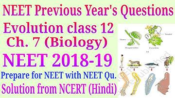 Evolution class 12 NEET Previous Year Questions