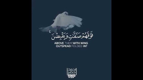 قرآن كريم بصوت  احمد خضر  | حالات واتس اب دينية💙