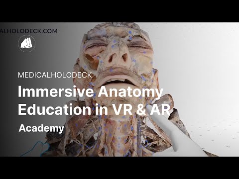 Study Human Anatomy in Virtual Reality: The Complete Human Body in VR
