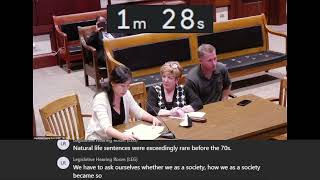 Ada Lin Testimony