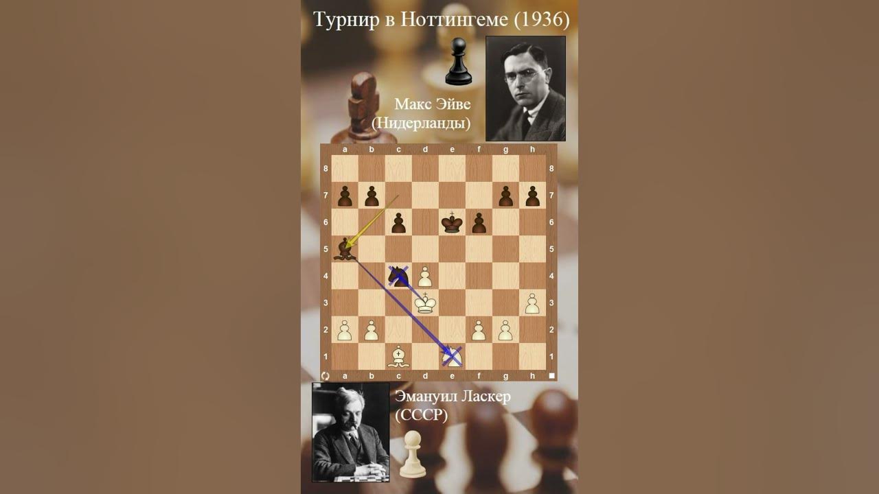 Рихард Рети шахматист