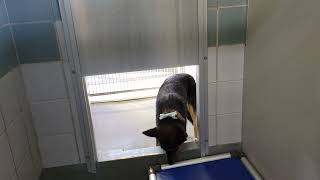 acs A672504