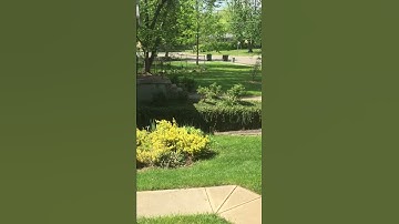 Cincinnati Police Code 3