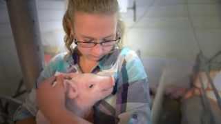 What is a Baby Pig Called