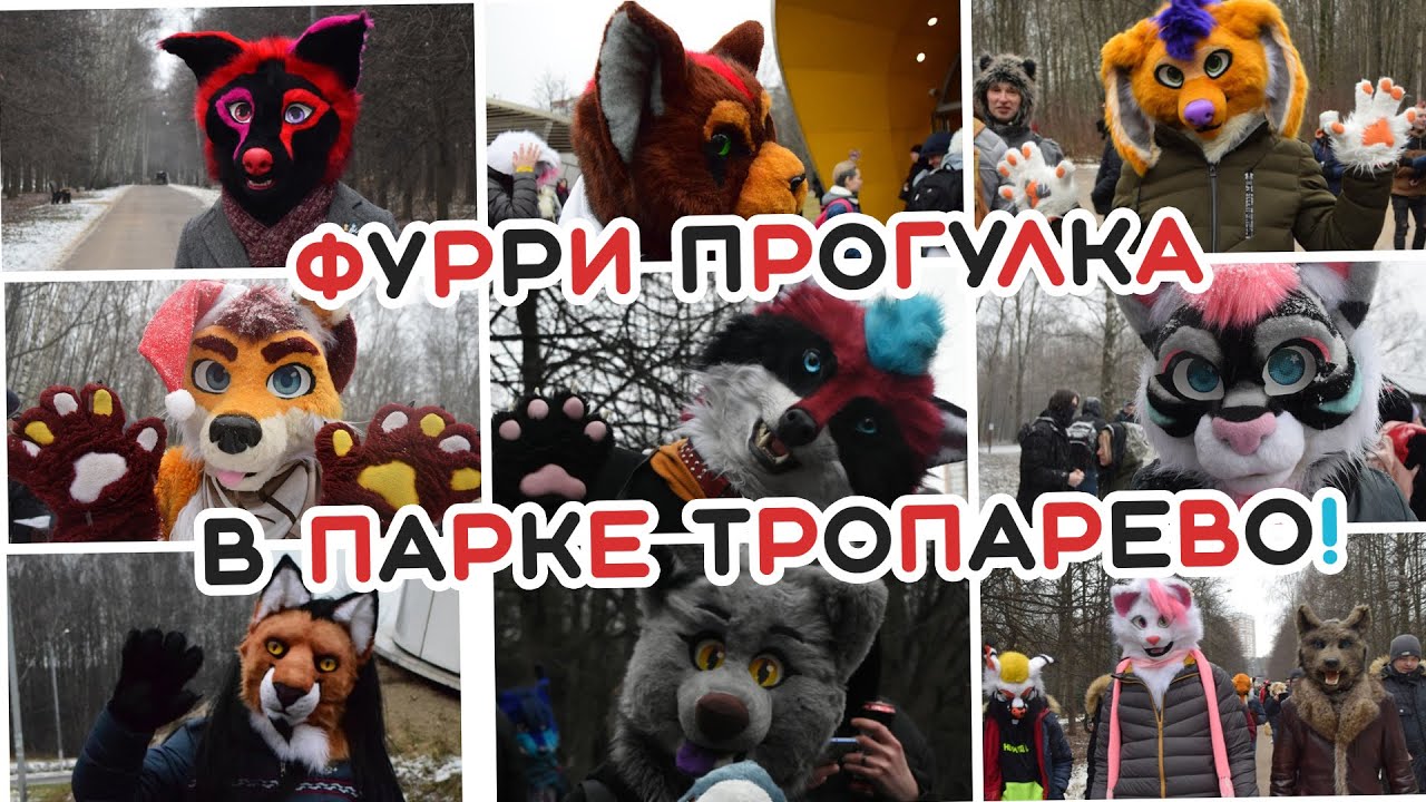 Фурри прогулка в парке Тропарево! - YouTube