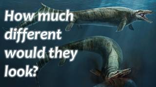 Convergent evolution and life on other planets