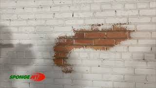 Removing Paint from Soft Brick