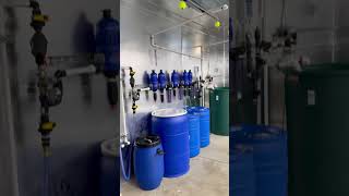 Dosatron Automated 12 Light Led Flower Room.