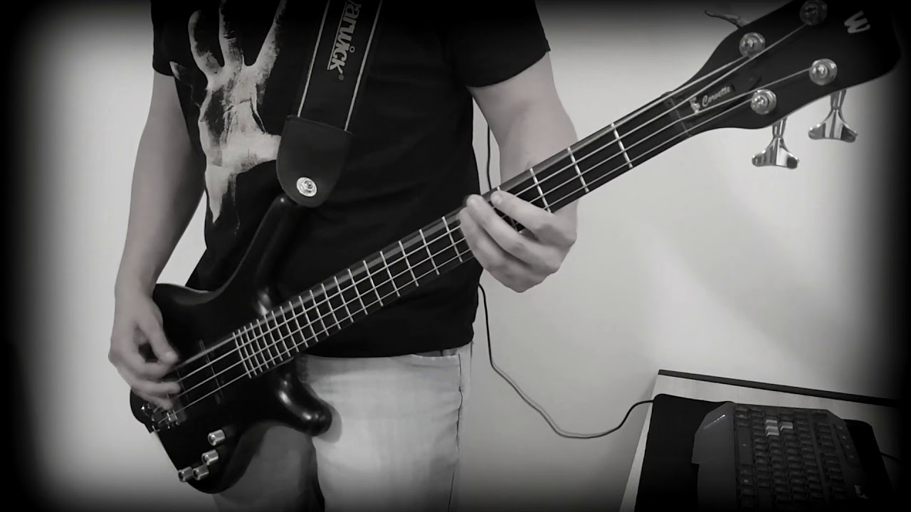 System Of A Down- Suite-Pee [Bass Cover] - YouTube