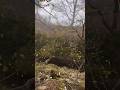 Природа построила мост в горах Дагестана