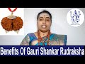 Benefits Of Gauri Shankar Rudraksha in English | Ruthratcham