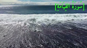 سُورَةُ القِيَامَةِ بصوت الشيخ عبد الرحمن بن موسى رواية ورش عن نافع تجويد رائع