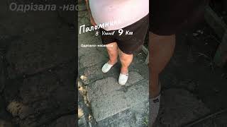 Тетя#паломники#уланiв#хасиди