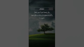 "وقال ربكم ادعوني استجب لكم"|#عبدالله_الموسي|#قرآن|#سورة_غافر