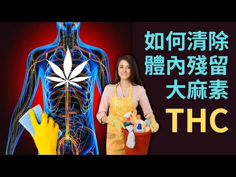 抽大麻回國會被檢測出來嗎？如何清除體內殘留的大麻素THC？