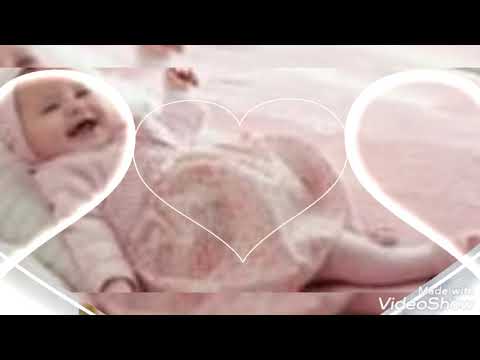 حمود الخضر مستنيك بشارة مولود جديد نيو بيبي