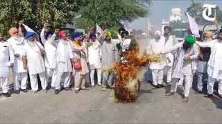 Amritsar: Kisan Mazdoor Sangharsh Committee burns effigy to protest against Centre, Punjab govt