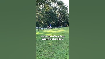 How To Get A Fluid Sidepass! Part 3! | The Horse Guru-Michael Gascon