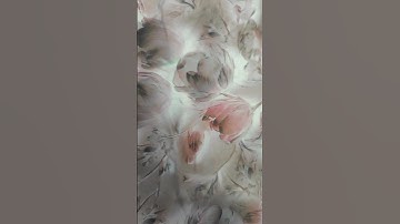پارچه ترکی | سوره Nx