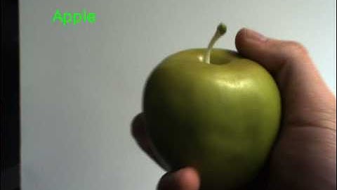 Apple prediction VGG16 network