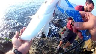 Shorejig Amberjack Kuzu Avı.
