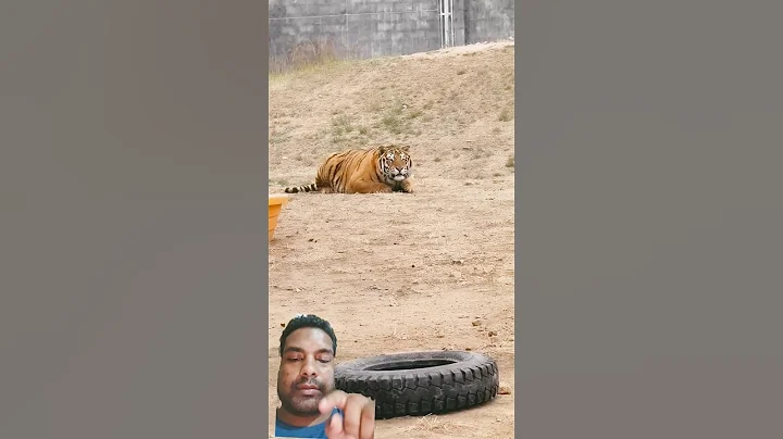 Bioga’s Attack Left Everyone Speechless – Watch the Footage