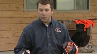 program sportdog remote