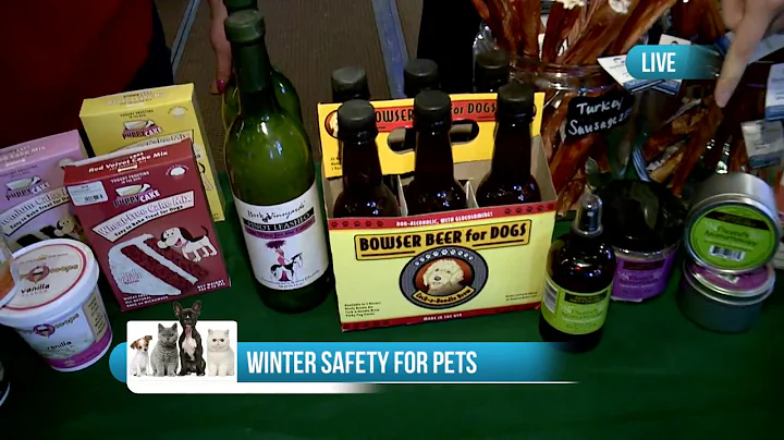 Winter Safety for Pets: Products You Need