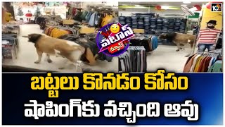 బట్టలు కొనడం కోసం షాపింగ్‌కు వచ్చింది ఆవు | Cow In the Shopping Mall | Patas News | 10TV screenshot 4