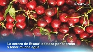 La cereza de Etxauri, un producto con brillo especial