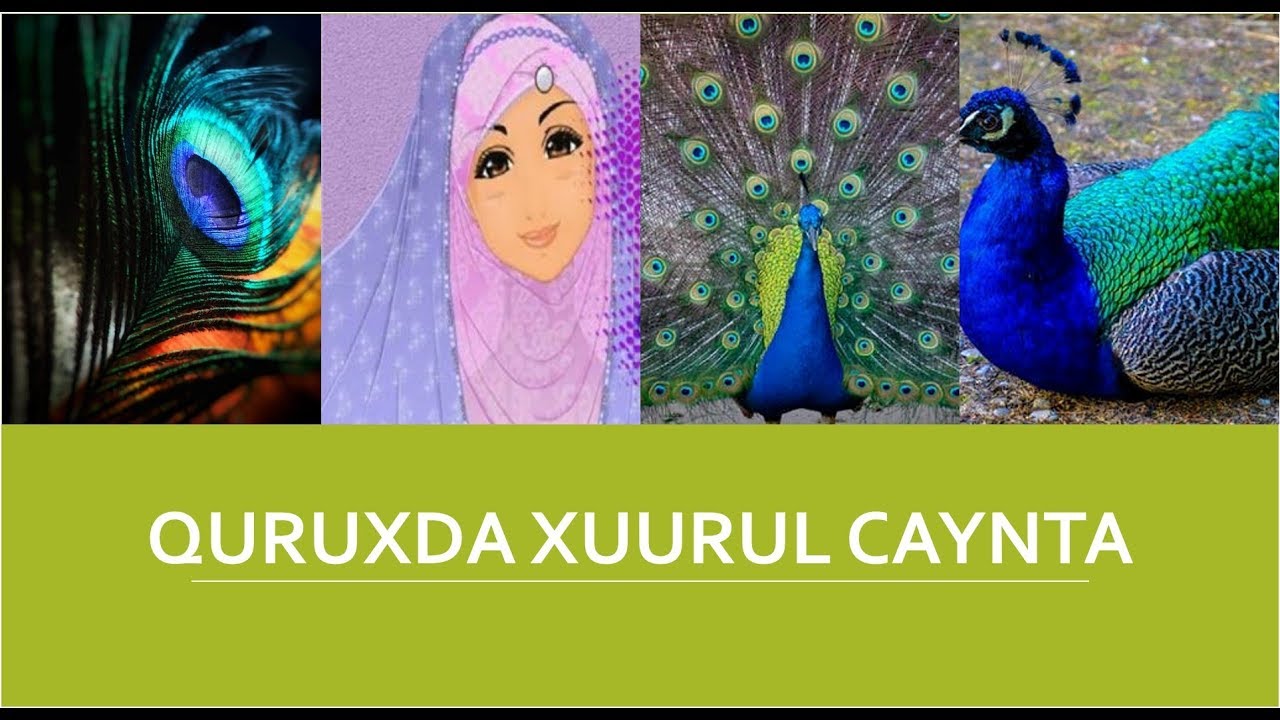 Jannada Raxmaanka 10aad┇Quruxda Xuurul Caynta Jannada 1aad ᴴᴰ