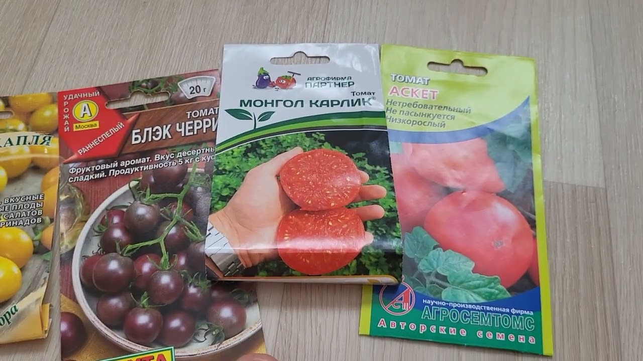 У этих сортов томатов всегда обильный урожай! Буду выращивать всегда!