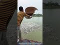 Feeding Frenzy: How Fish Farming Sustains Communities