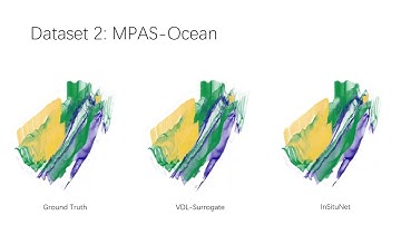 VDL-Surrogate: Accompanying Video