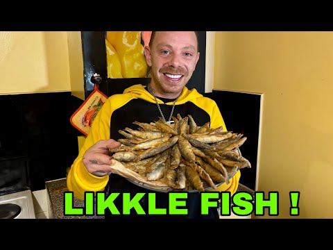 What If You Traveled to Before the Big Bang?