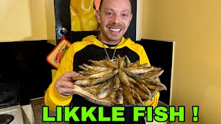 LIKKLE FISH