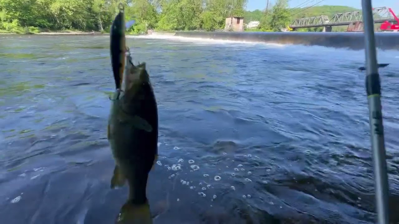 This Spot Saved The Day!! LEHIGH RIVER TROUT FISHING