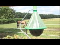 Werking dazenval Wirkung bremsenfalle, How a horsefly-trap works