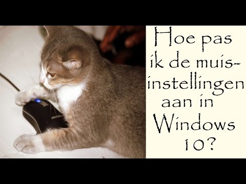 Video: Hoe om selle op Google Sheets op 'n rekenaar of Mac te tel: 8 stappe