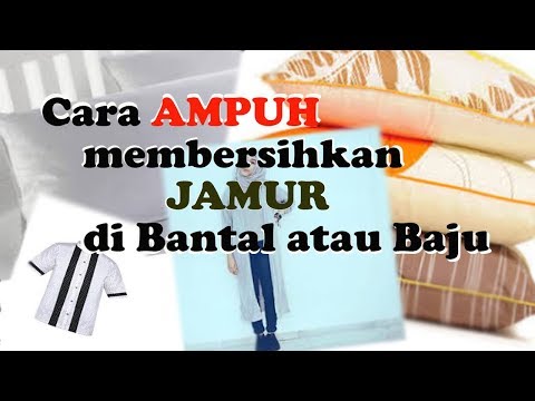  cara  membersihkan bantal  menghilangkan  jamur  di  bantal  