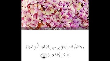 سورة البقرة من ايه154الي ايه163للشيخ محمود خليل الحصري