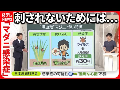 ブラウンドッグティックの危険性と予防法：室内でも繁殖する感染症媒介ダニ