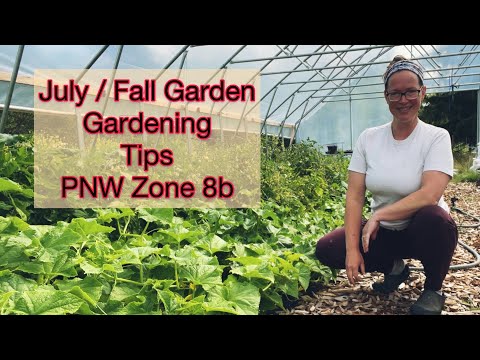 Video: Zahradnické úkoly na červenec – Práce pro zahradníky severozápadního Pacifiku