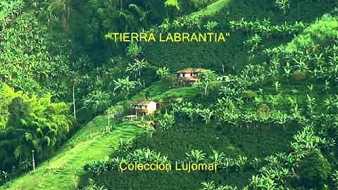 Garzón y Collazos - Tierra labrantía - Colección Lujomar.wmv