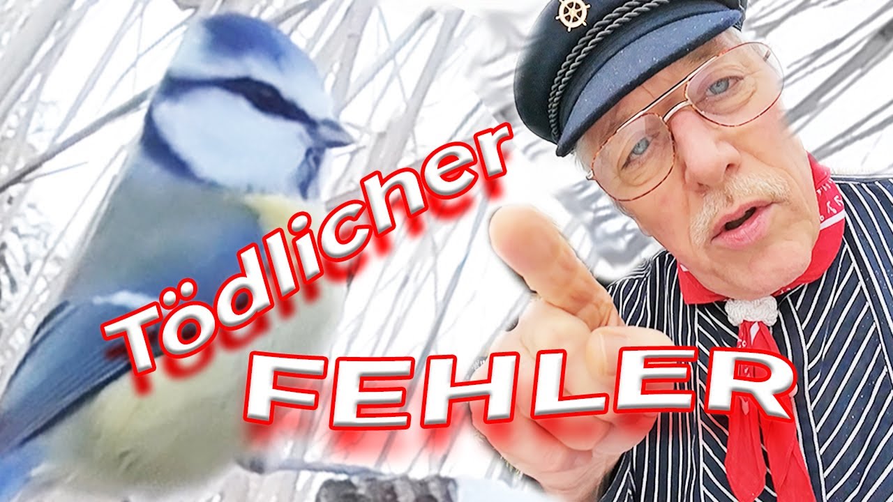 "Vögel füttern im Winter: Diesen Fehler solltest du vermeiden! ❄️🐦"