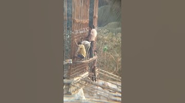 Workers working on rebaring on fourth floor #workers #work #rebar #rebaring #process #construction