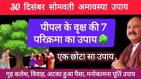 30 दिसंबर सोमवती अमावस्या के दिन करें पीपल के वृक्ष की 7 परिक्रमा, होगी सभी मनोकामना पूर्ण#amavasya