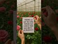 ✨ Podar no es perder, es dar espacio para que la vida vuelva a florecer.