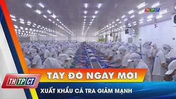 Xuất khẩu cá tra giảm mạnh | Cần Thơ TV
